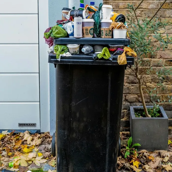 Scoop & Scrub trash bin cleaning service in San Antonio